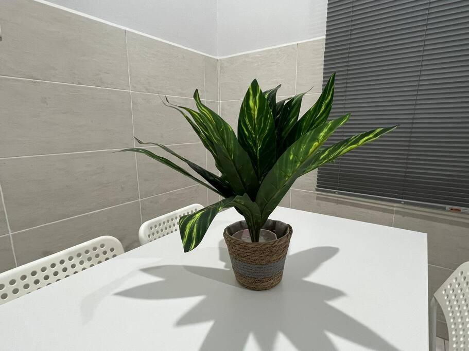 D'Sara Homestay Fully Furnished 3 Bedrooms All Aircond 2 Miles Centre Chukai Kültér fotó